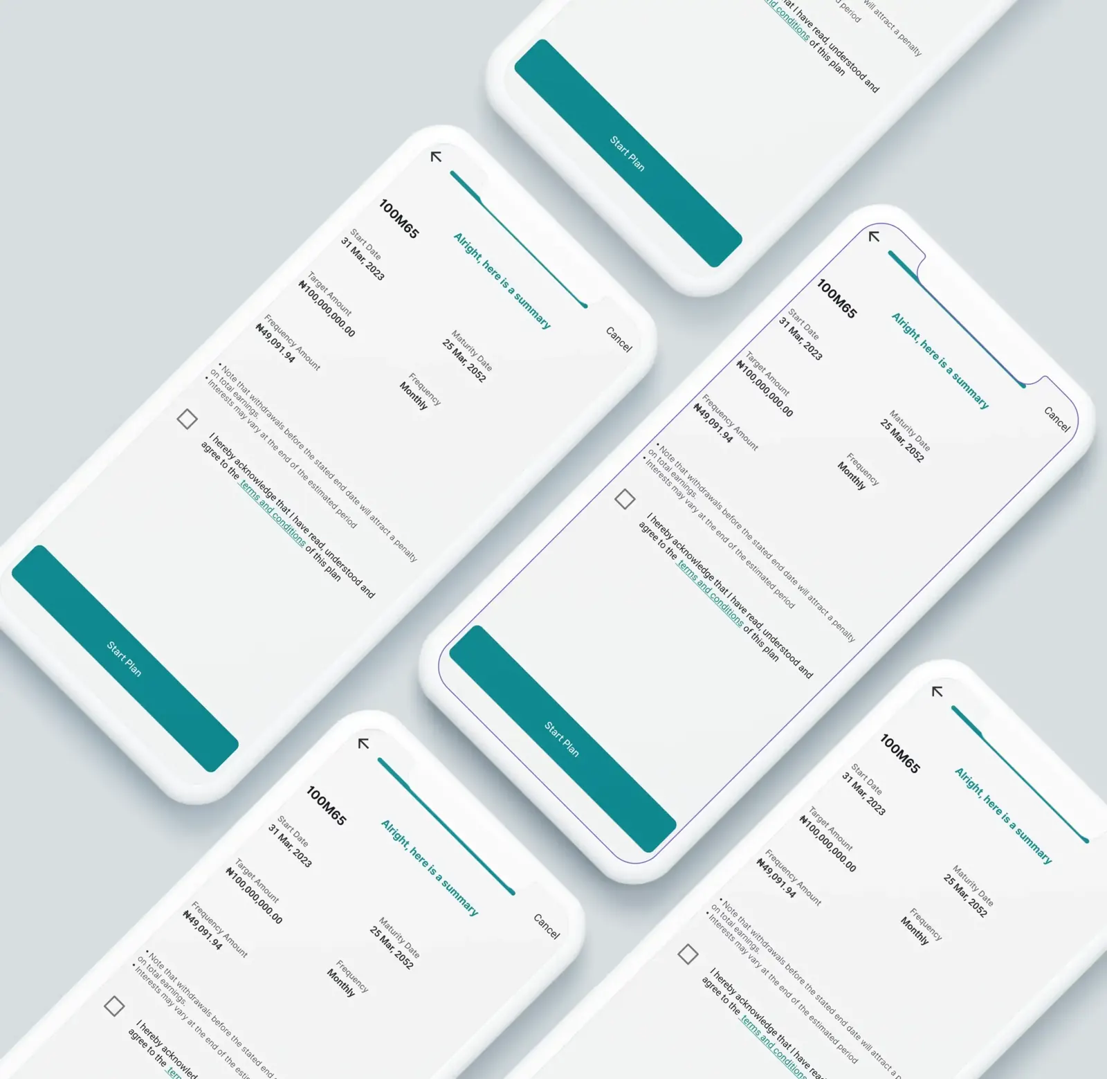 InvestNaija 100M65 plan screens